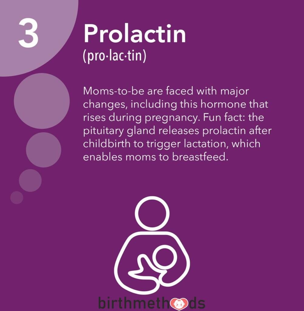 What happens when prolactin is high